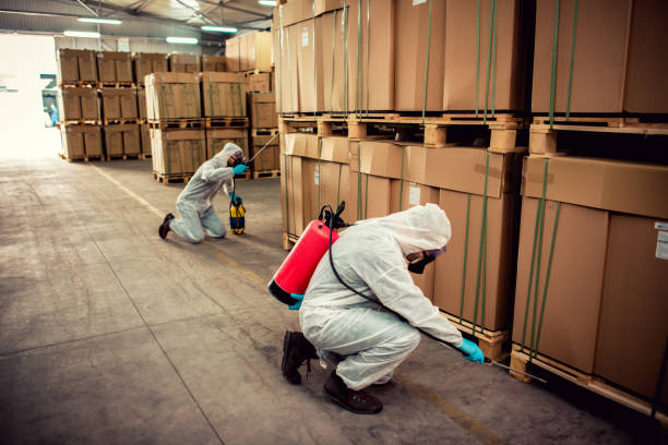 Best Bed Bug Extermination  in Clinton, LA