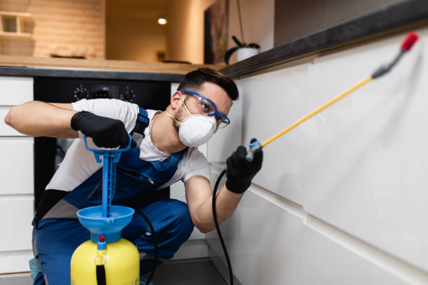 Best Pest Control for Homes  in Clinton, LA