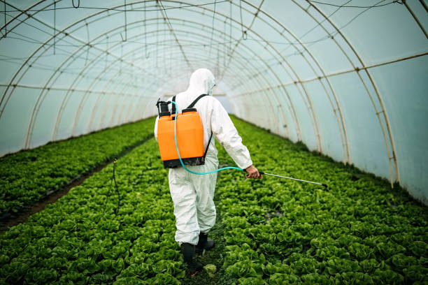 Best Pest Inspection Near Me  in Clinton, LA
