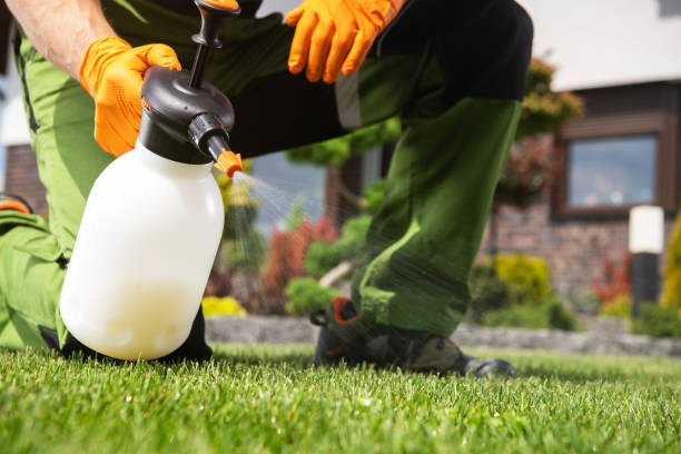 Best Bird Control  in Clinton, LA