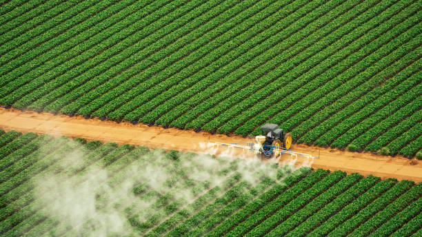 Professional Pest Control in Clinton, LA