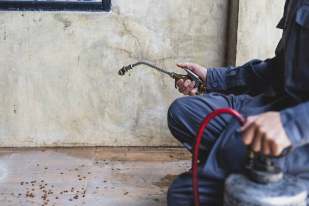 Best Pest Prevention Services  in Clinton, LA